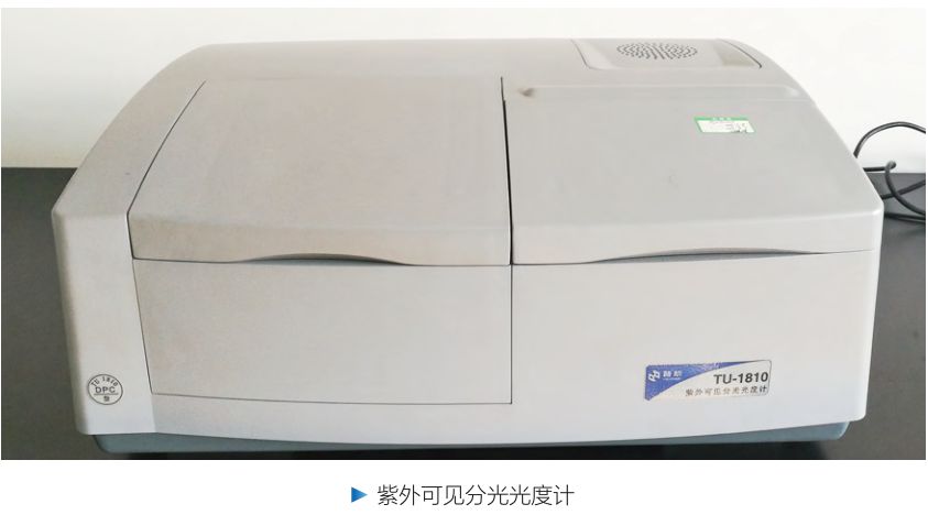 香港精准马料