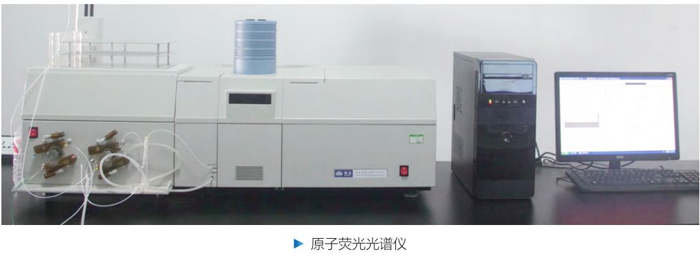 香港精准马料