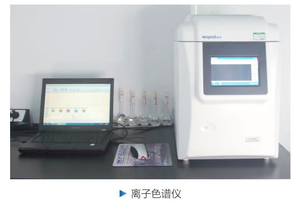 香港精准马料